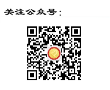 ��ϵ����